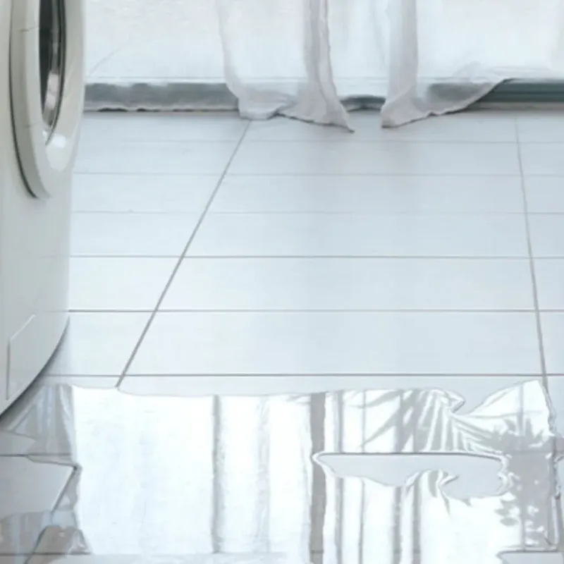 Appliance Leak Cleanup in Blissfield, MI