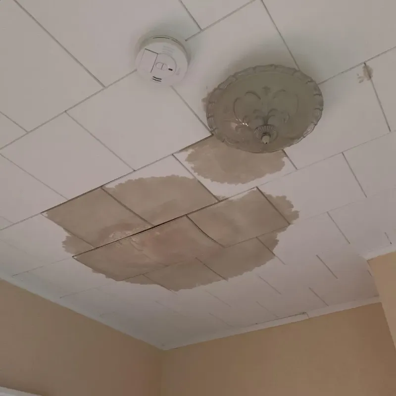 Ceiling Water Damage Repair in Blissfield, MI